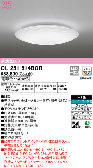 ODELIC ǥå 󥰥饤 OL251514BCR ᥤ̿