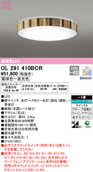 ODELIC ǥå 󥰥饤 OL291410BCR ᥤ̿