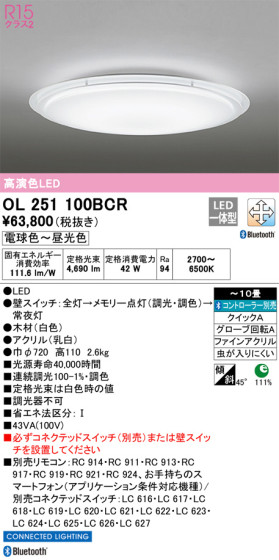 ODELIC ǥå 󥰥饤 OL251100BCR ᥤ̿