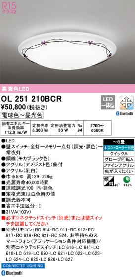 ODELIC ǥå 󥰥饤 OL251210BCR ᥤ̿