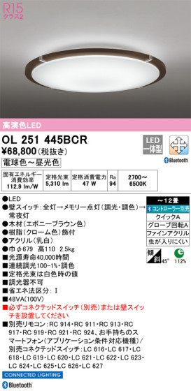 ODELIC ǥå 󥰥饤 OL251445BCR ᥤ̿