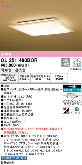 ODELIC ǥå 󥰥饤 OL251480BCR ᥤ̿