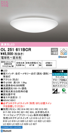 ODELIC ǥå 󥰥饤 OL251611BCR ᥤ̿