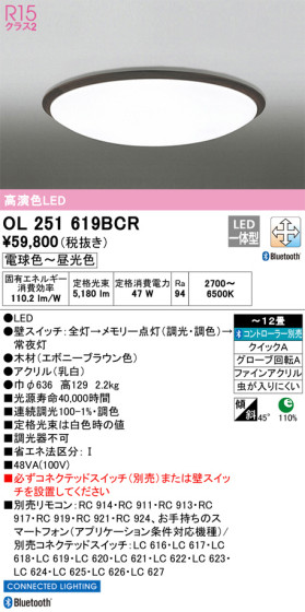 ODELIC ǥå 󥰥饤 OL251619BCR ᥤ̿