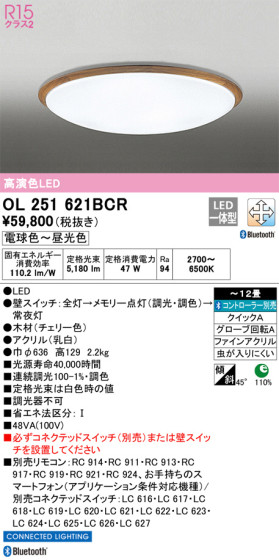 ODELIC ǥå 󥰥饤 OL251621BCR ᥤ̿