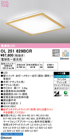 ODELIC ǥå 󥰥饤 OL251629BCR ᥤ̿