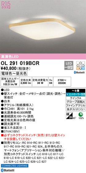 ODELIC ǥå 󥰥饤 OL291019BCR ᥤ̿