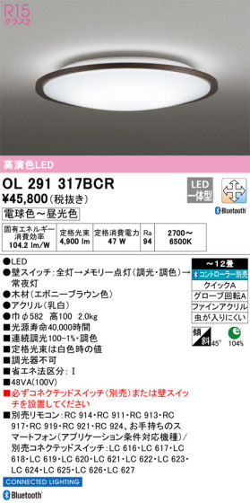 ODELIC ǥå 󥰥饤 OL291317BCR ᥤ̿