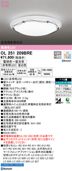 ODELIC ǥå 󥰥饤 OL251209BRE ᥤ̿