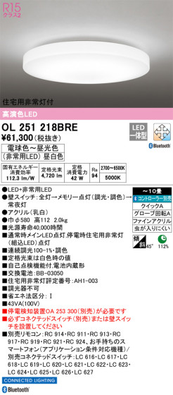 ODELIC ǥå 󥰥饤 OL251218BRE ᥤ̿