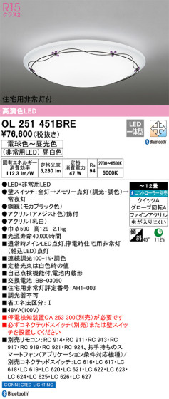 ODELIC ǥå 󥰥饤 OL251451BRE ᥤ̿