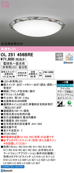 ODELIC ǥå 󥰥饤 OL251456BRE ᥤ̿