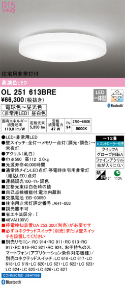 ODELIC ǥå 󥰥饤 OL251613BRE ᥤ̿