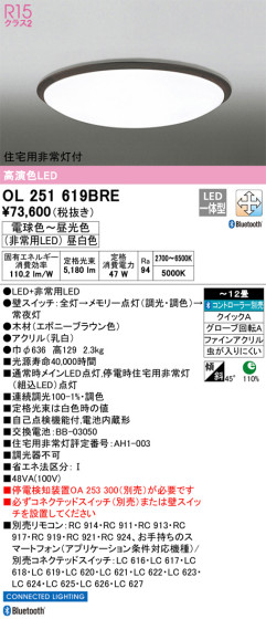 ODELIC ǥå 󥰥饤 OL251619BRE ᥤ̿