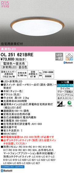 ODELIC ǥå 󥰥饤 OL251621BRE ᥤ̿