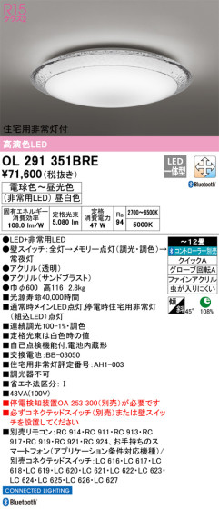 ODELIC ǥå 󥰥饤 OL291351BRE ᥤ̿