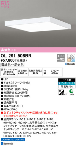 ODELIC ǥå 󥰥饤 OL291508BR ᥤ̿