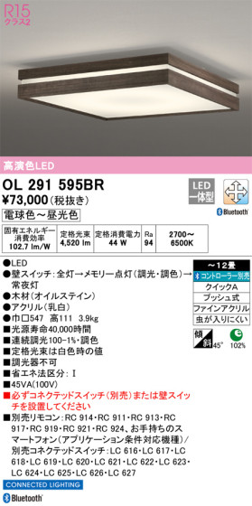 ODELIC ǥå 󥰥饤 OL291595BR ᥤ̿