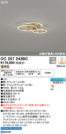 ODELIC ǥå LED ǥꥢ OC257243BC ᥤ̿