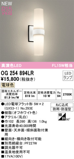 ODELIC ǥå LED ƥꥢ饤 OG254894LR ᥤ̿