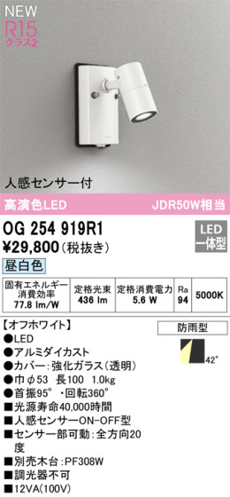 ODELIC ǥå LED ƥꥢ饤 OG254919R1 ᥤ̿