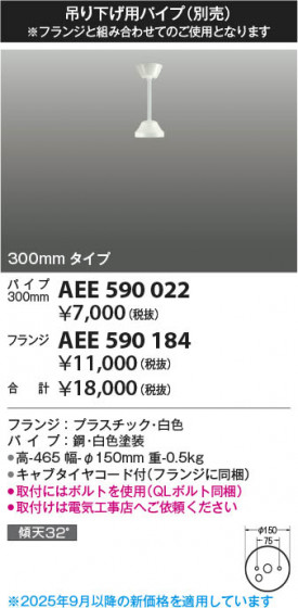 ���β��� Koizumi �������߾��� ����ƥꥢ�ե����Ĺ�ѥ��� AEE590022