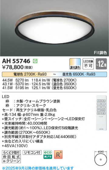 ���β��� Koizumi �������߾��� LED������� AH55746