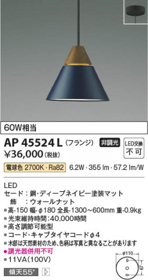 ���β��� Koizumi �������߾��� LED�ڥ����� AP45524L