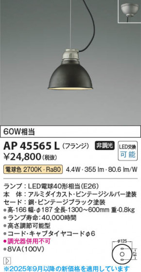 ���β��� Koizumi �������߾��� LED�ڥ����� AP45565L