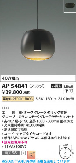 ���β��� Koizumi �������߾��� LED�ڥ����� AP54841