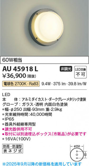 ���β��� Koizumi �������߾��� LED�ɱ��ɼ����֥饱�å� AU45918L