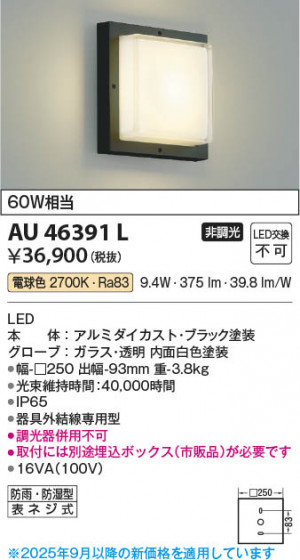 ���β��� Koizumi �������߾��� LED�ɱ��ɼ����֥饱�å� AU46391L