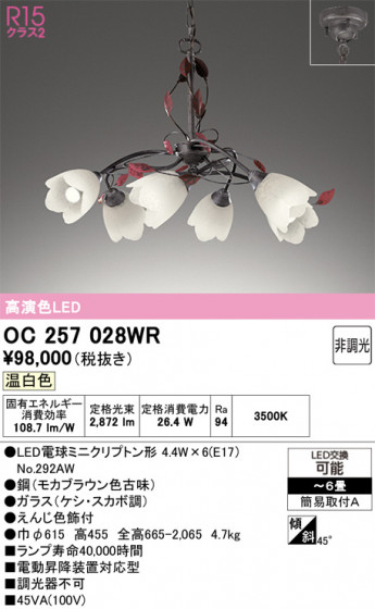 ODELIC �����ǥ�å� �����ǥꥢ OC257028WR �ᥤ��̿�