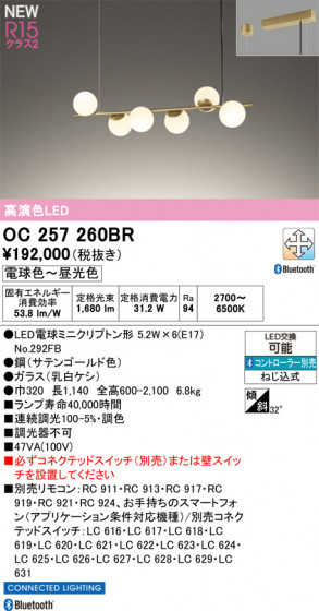 ODELIC �����ǥ�å� �����ǥꥢ OC257260BR �ᥤ��̿�