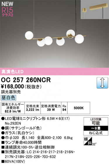 ODELIC �����ǥ�å� �����ǥꥢ OC257260NCR �ᥤ��̿�