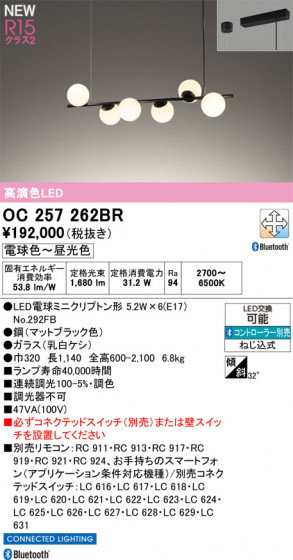 ODELIC �����ǥ�å� �����ǥꥢ OC257262BR �ᥤ��̿�