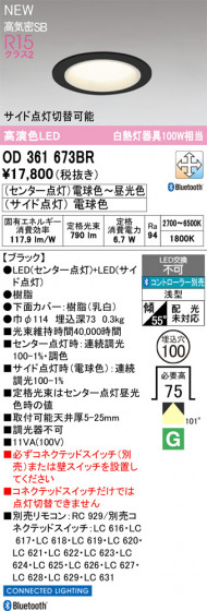 ODELIC �����ǥ�å� ������饤�� OD361673BR �ᥤ��̿�