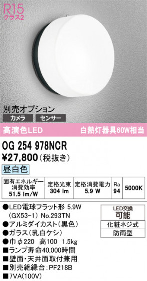 ODELIC �����ǥ�å� �������ƥꥢ�饤�� OG254978NCR �ᥤ��̿�