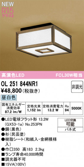 ODELIC �����ǥ�å� ��������������󥰥饤�� OL251844NR1 �ᥤ��̿�