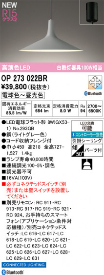 ODELIC �����ǥ�å� �ڥ����ȥ饤�� OP273022BR �ᥤ��̿�